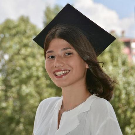 Ms Aybuke Github - Sunset Wallpaper Collection - Full HD Quality