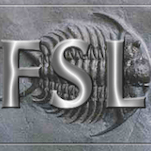 F L Solution Github - Beautiful Mobile Vintage Textures | Free Download