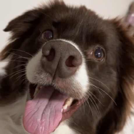 Larkin Man Larkin Github - Premium Landscape Texture Gallery - HD