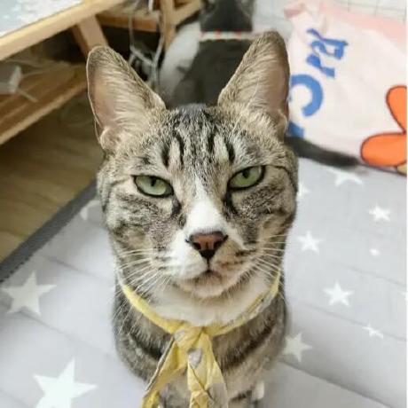 Github Salm1968 Ned - Download Incredible Landscape Design | Desktop