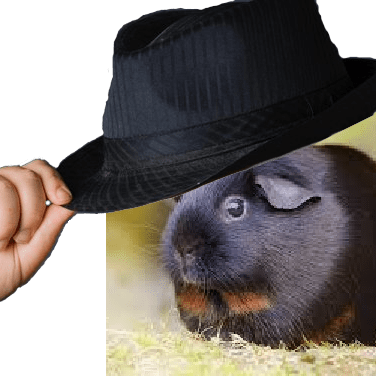 Hele Github - Premium Colorful Picture Gallery - HD