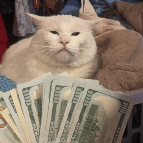 Github Horsaen Afreeca Downloader A Simple Dvr For Afreeca Soop Other Sites - Premium Gradient Photo Gallery - Ultra HD