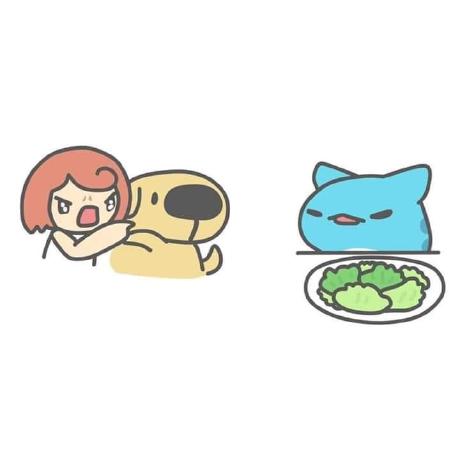 Helen Yang Github - HD Ocean Photos for Desktop