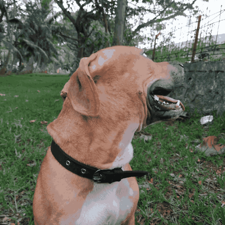 Ankitmhatre Ankit Mhatre Github - Ultra HD Desktop Nature Photos | Free Download