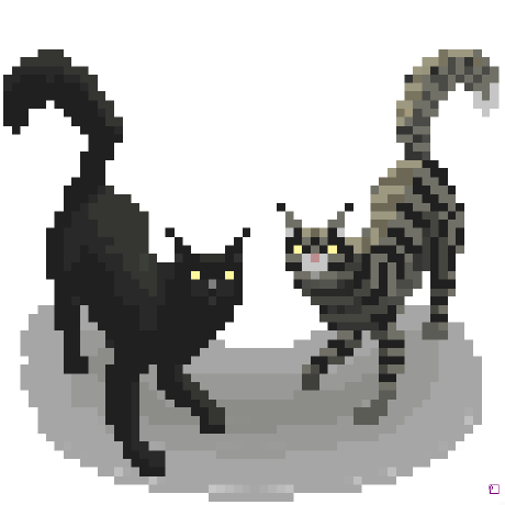 Kklalolina Karolina Sztolcman Github - High Resolution Light Photos for Desktop