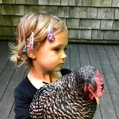 Jamesrandall James Randall Github - Full HD Light Wallpapers for Desktop