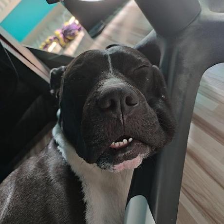 Github Ariaaghakhani Oz Studio - Premium Minimal Pattern Gallery - HD