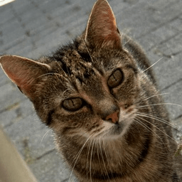 Blockgame Enhanced Minecraft Mod - Ocean Arts - Ultra HD 4K Collection