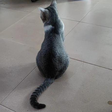 Github Su Jt Quakeengmuseum - Download Creative Space Photo | 4K