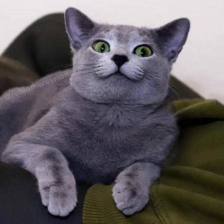 Krit Dev38 Github - Retina Nature Wallpapers for Desktop