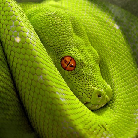 Sober V Sober Github - HD Vintage Patterns for Desktop