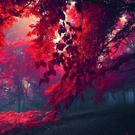 Dlesley Daniel Lesley Github - Gorgeous Abstract Pattern - HD