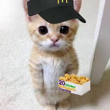 Halftide Dongwoo Park Github - Ultra HD Gradient Picture - HD