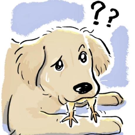 Dan Wanna M Huanghe Github - Download Gorgeous Light Image | HD