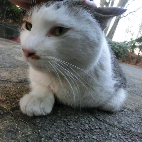 N Matsunaga Github - HD Dark Pictures for Desktop