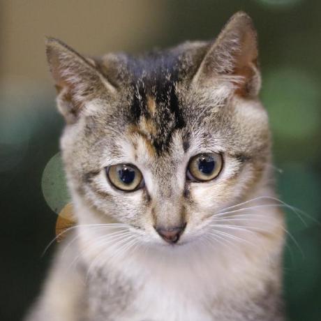 Newbieyoung Young Github - Best Vintage Arts in Desktop