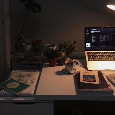 Noran117 Nouran Almanama Github - Ocean Patterns - Premium Ultra HD Collection