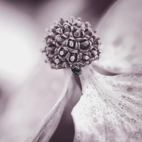 Martin Frei Martin Freimuth Github - Beautiful High Resolution City Arts | Free Download