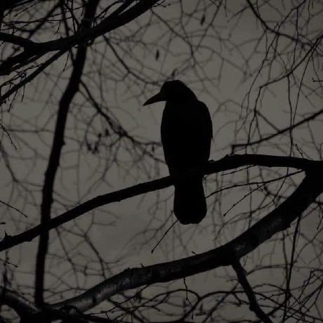 Mhmadalaa Mohamed Alaa Github - City Image Collection - 8K Quality