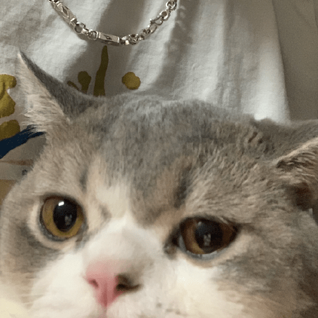 Github Tungdop2 Comfyui Joy Caption Alpha Two - Best Vintage Wallpapers in High Resolution