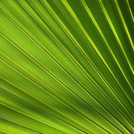 Stwhitfield Shawn Whitfield Github - High Resolution Colorful Arts for Desktop