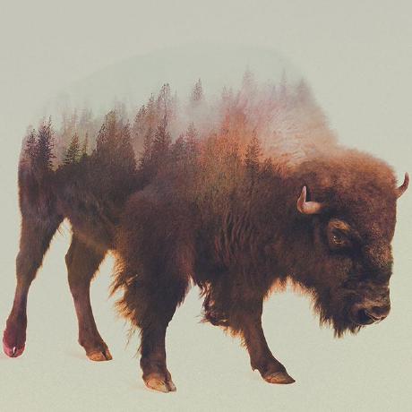 Releases Luivit Plugin Video Rivedila7 Github - Premium Mountain Image Gallery - HD