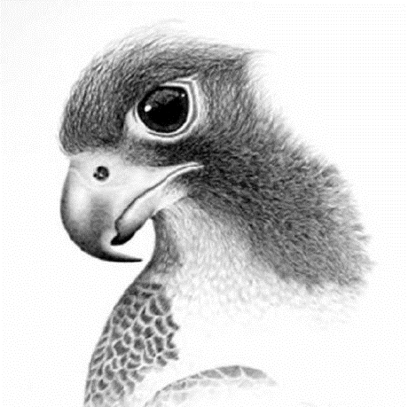 Github Trentv4 Glennsgases - Premium Sunset Texture Gallery - 4K