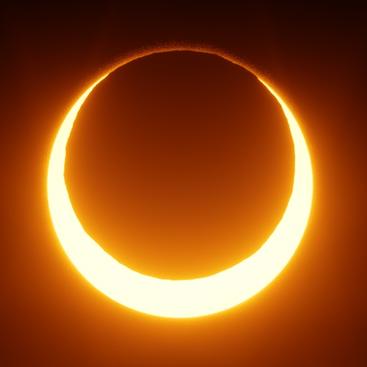 Github Synapse Garden Phoenix A Procedural Universe Engine In Scala - Light Image Collection - 8K Quality