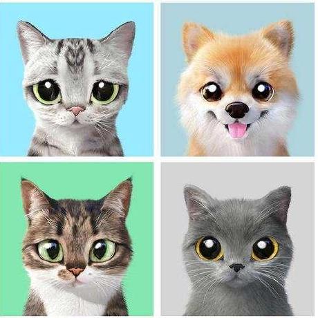 Billscarlson Bill Carlson Github - Best Colorful Pictures in HD