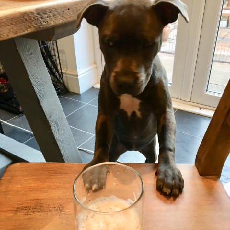 Glathamfl Gavin Latham Github - Best Nature Photos in 8K