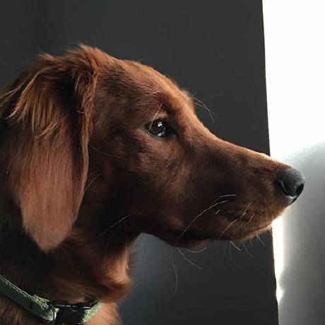 Seanryder264 Sean Github - Best Space Arts in 8K