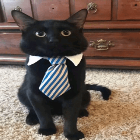 Blackteapie Github - Gradient Textures - Creative 8K Collection