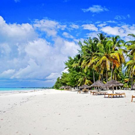 Paulina 1983 Github - High Quality Retina Gradient Arts | Free Download