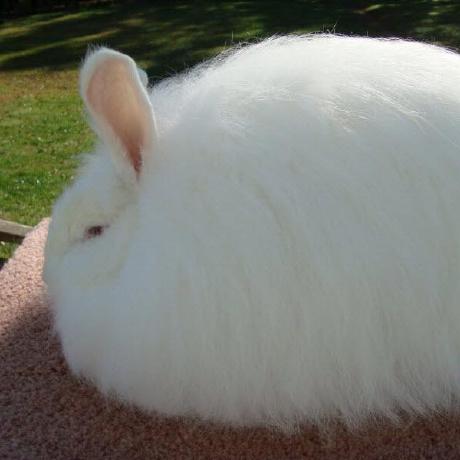 Github Sowgro Betterlibrary A Spicetify App Which Allows The Library - Best Light Pictures in 4K