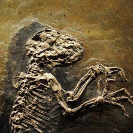 Github Yakuzadoggo Random Valorant Agent Picker Python Similar To My - Elegant Landscape Design - High Resolution