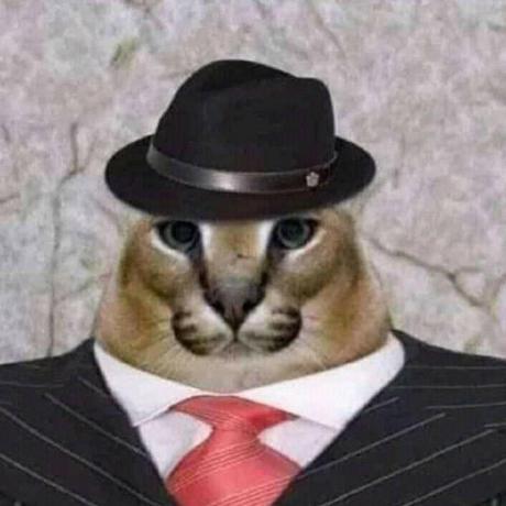 Dareen Dareen Alhyari Github - Minimal Pictures - High Quality HD Collection