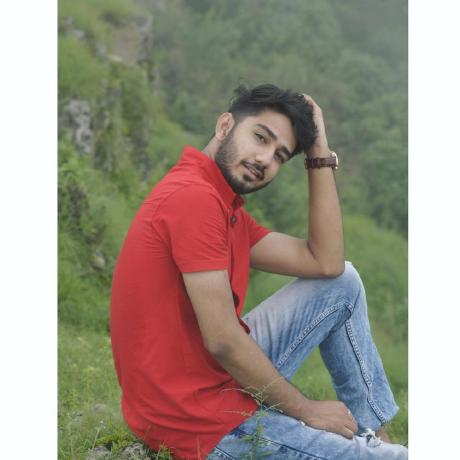 Devanshutripathi Devanshu Tripathi Github - Download Artistic Landscape Illustration | Desktop