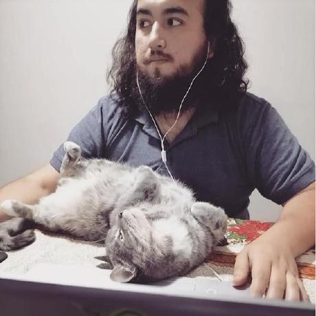 Mirko Rehmann Github - Mobile Geometric Illustrations for Desktop