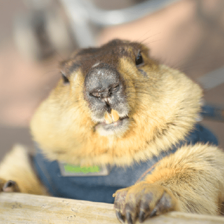 Github Zarathustra Skip Pythonluckysheet Python Luckysheet Websocket - Landscape Wallpapers - Artistic Ultra HD Collection