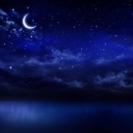 Wangding Github - Download Beautiful Vintage Illustration | High Resolution