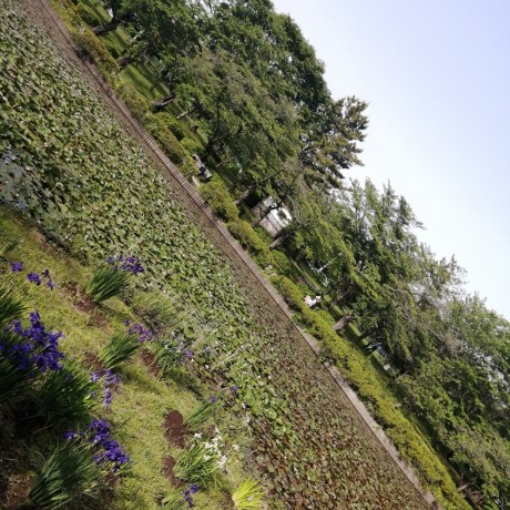 Hiro93 Hiro Github - Nature Background Collection - Ultra HD Quality