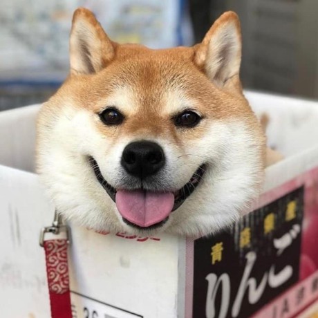 Brian31405 Brian Jhan Github - Amazing Space Design - Ultra HD