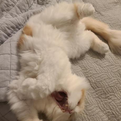 Jihwankimdata Jihwan Github - Gorgeous 4K City Illustrations | Free Download