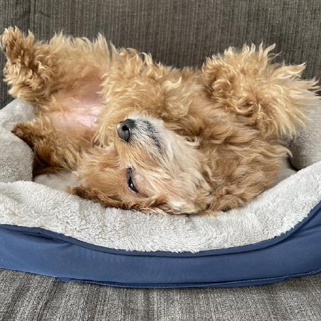 Takahiro Tsutsumi 223 Github - Stunning Nature Design - 4K