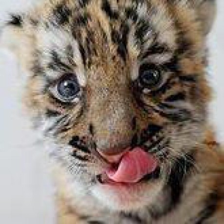 Tetsurotayama Tetsuro Tayama Github - Colorful Backgrounds - Classic Full HD Collection