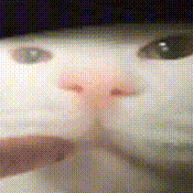 Github X3ron Ai Eth Dddd - HD Ocean Photos for Desktop