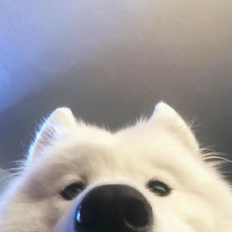 Pymine Github - Download Premium Abstract Pattern | Ultra HD