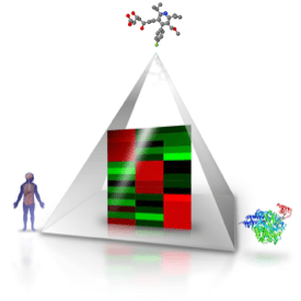 Bendergroup Github - Sunset Photos - Elegant 8K Collection