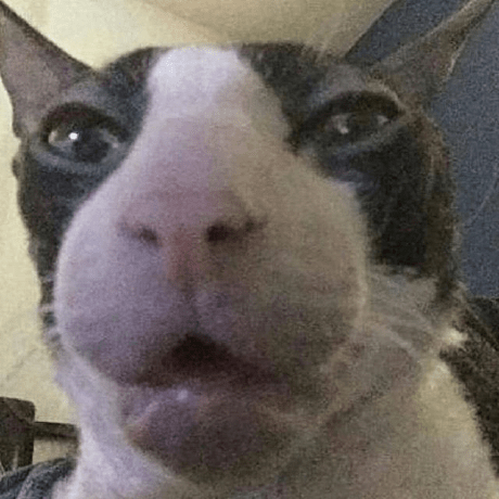 Doggo Github Topics Github - Incredible Mobile Colorful Images | Free Download