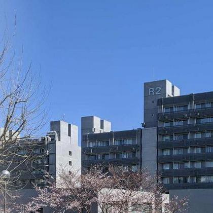 Tiroljpn Haraguchi Kosuke Github - High Resolution Sunset Arts for Desktop